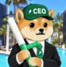 Memecoin CEO